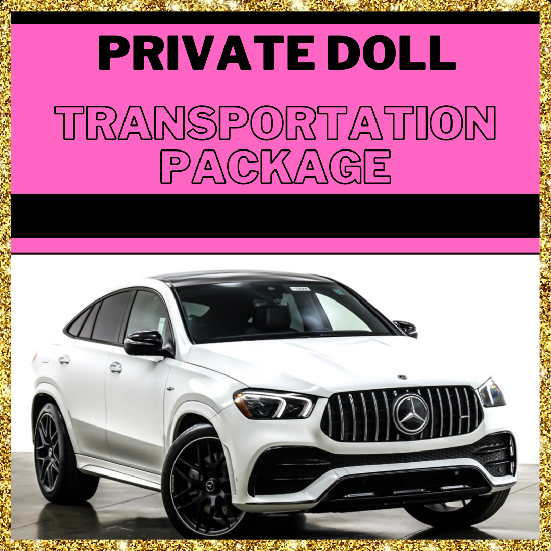 Cosmetic SX Transportation Package