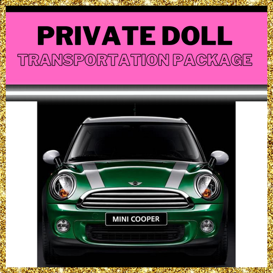 Mini Cosmetic SX Transportation Package